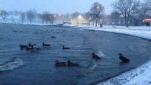 Some weather shots and road conditions between 7 and 8 a.m. at Quidi Vidi Lake and the Outer Ring Road. Get all the latest weather updates here: www.cbc.ca/1.3350271 | CBC Newfoundland and Labrador
