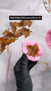 Comment ‘FallTemplate’ and I’ll send my free downloadable template your way! All the products I use are linked to my Amazon Storefront…comment ‘Amazon’ if you want the link | Funky Batter