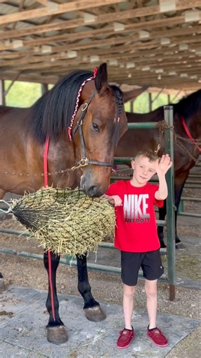 Thanks for kicking off the 2025 Ohio county fair racing season with us at Paulding! We’ll see you tomorrow🐴 | Ohio Harness Horsemen's Association