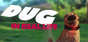 VOTD: Dug The Talking Dog From Pixar's 'Up' In Real Life - SlashFilm