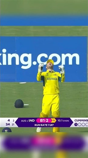 Cricket ￼world cup 2023 final highlights ￼