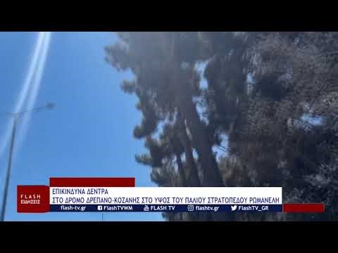 ΕΠΙΚΙΝΔΥΝΑ ΔΕΝΤΡΑ ΣΤΟ ΔΡΟΜΟ ΔΡΕΠΑΝΟ ΚΟΖΑΝΗΣ ΣΤΟ ΥΨΟΣ ΤΟΥ ΠΑΛΙΟΥ ΣΤΡΑΤΟΠΕΔΟΥ ΡΩΜΑΝΕΛΗ