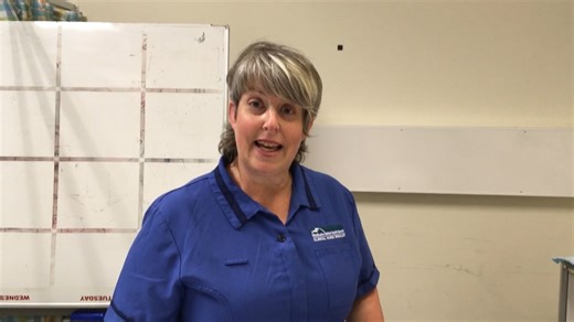 Clexane injection technique