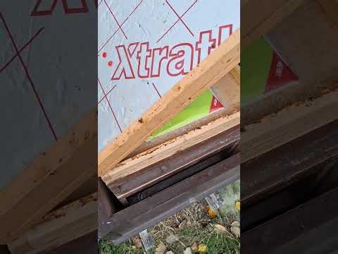 34th Visit - Apiary 2