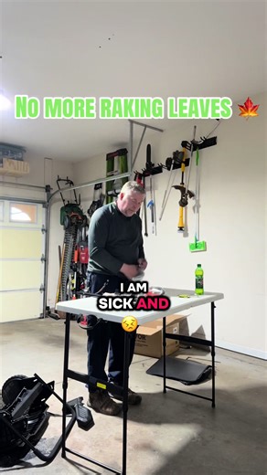 Exploring the VEVOR Loan Sweeper for Easy Leaf Removal