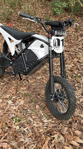 Eskute E-bike Mini: Compact and Stylish Riding