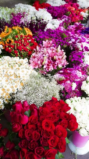 #beautiful #flowers # new flower 🌹🌺