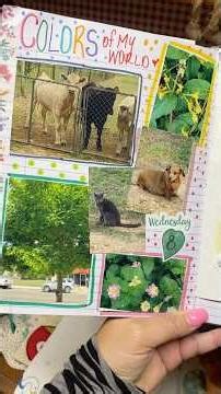 Journal Prompt~ Adding colors of your World to your Journal