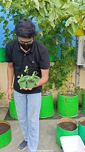 1.3M views · 23K reactions | Winter gardening work begins #Winter #gardening #organicgardening #garden #terracegarden #gardeningaasaanhai | Gardening Aasaan Hai | Facebook