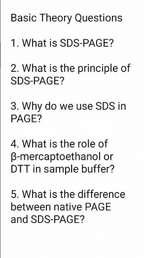 SDS-PAGE Explained | Principle, Steps, and Applications | Protein Separation Technique