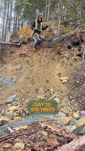 1.9K views · 273 reactions | FAQ #13: Why don’t you use a mosquito head net ? Answer : Mosquito nets can be a good thing when the bugs are really bad. Although it reduces the visibility by a lot and it becomes harder to locate the planted trees. Also, at this time of the year there is actually not that many bugs out yet, so we are still safe! Question asked by : @riseaviator #trees #treeplanting #treeplanter #planttrees #plantingtrees | Antoine Moses | Facebook