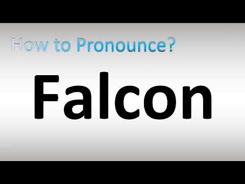 How to Pronounce Falcon