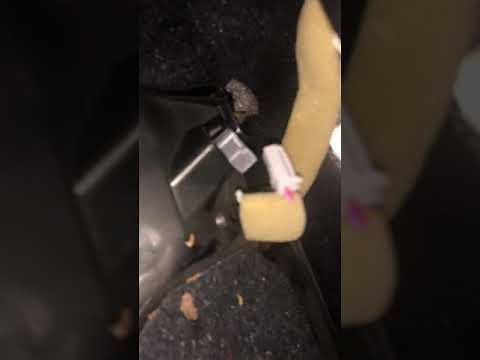 Blower motor repair Lexus LS460