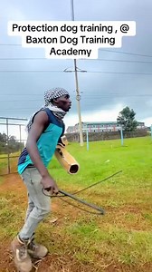 Protection dog training #doglover | Baxton DOG Training Academy