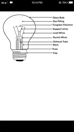 Structure of Electric bulb || how to make bulb || #tranding #shortfeed #ytshort #viralvideo