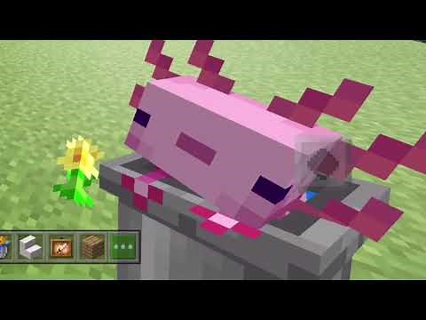 ( Download ) Alittl Axolotl - Bedrock Edition | Minecraft Pocket Edition | MCPE - BOY