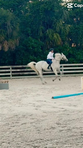 super silly pony yesterday😼💕 #horse #equestrian #eq #spitfirefarm #silly #hearthorse