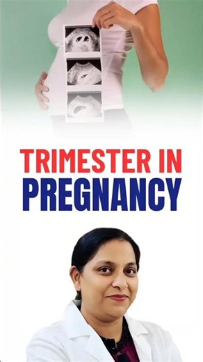 🤰 Understanding the Three Trimesters of Pregnancy