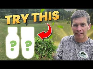 Best Herbicide for Worst Weed - See Results in Video