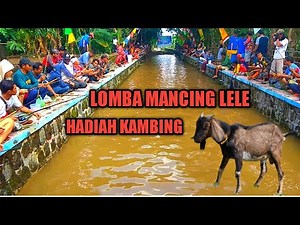 LOMBA MANCING LELE DI KALI BERHADIAH KAMBING