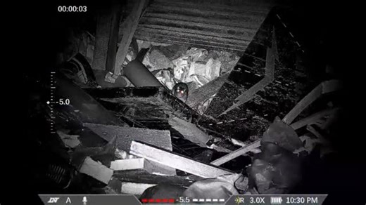 vermin & pest control 💯💥🐀👌 on Instagram: "Out controlling rats with this absolutely brilliant set up RTI Arms MORA Paired with the dnt zulus 3-12 Extremely impressed with the picture quality through the scope. Just editing my latest youtube channel video 📹 I'll get the full video up as soon as possible. Session preview Kit used while out RTI Arms MORA. 22 DNT Optics ZULUS 3-12 V2 SunwayfotoT3620CS tripod system JSB Match Diabolo hades Nocpix Quest H50R binoculars Check my youtube channel fo