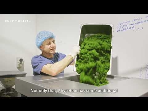 PhycoHealth PhycoTein IFE24 Awards