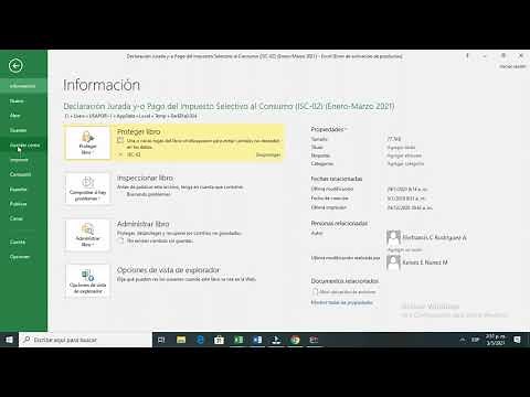 Formulario de Declaración del Impuesto Selectivo al Consumo IS-02