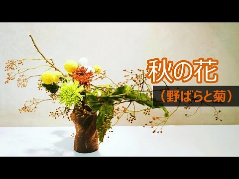 [Ikebana] Autumn flowers - Red berries and chrysanthemums - Horizontal design - Autumn flowers - ...