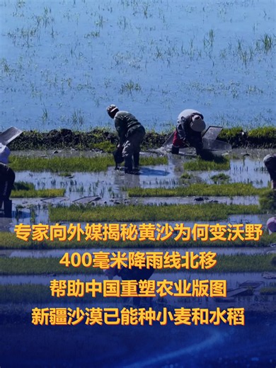 专家向外媒揭秘黄沙为何变沃野，400毫米降雨线北移，帮助中国重塑农业版图，新疆沙漠已能种小麦和水稻