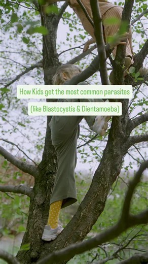 Kids Health | Naturopathy & Nutrition on Instagram: "Parasites like Blastocystis and Dientamoeba are two of the most common parasites we see in kids. Here are some of the sneaky ways kids can pick them up 👇 💧 1. Drinking untreated or tank water Parasite cysts can survive in water that hasn’t been filtered, especially rainwater tanks or bore water. 🙌 2. Poor handwashing Kids are busy exploring, playing, and touching everything. Without proper handwashing after toileting or before eating, paras