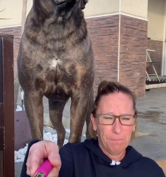 Photoshop Post Editing Tutorial | Enhance Your Photos with These Tips