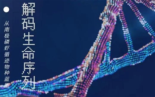 走进华大基因实验室解密生命密码