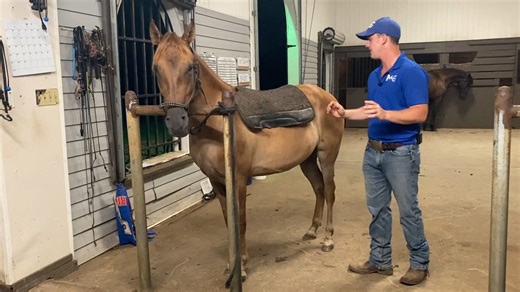 2.6K views · 53 reactions | Join us in this insightful video on Pad...