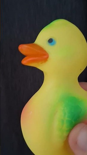 Duck toy squeaky sound effect
