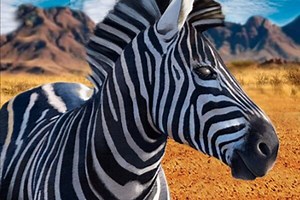 Zebra Hunter