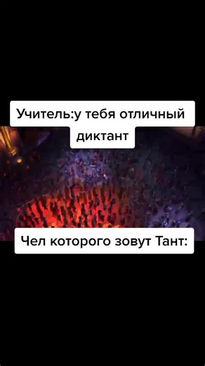 Max The Elf on TikTok