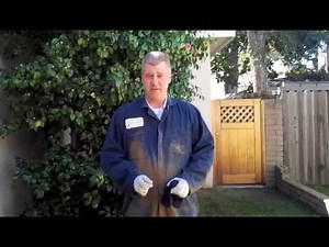 Termite Inspection Orange County