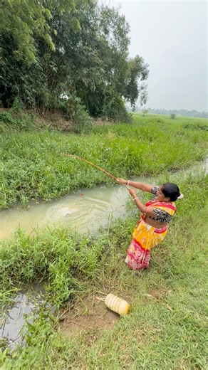 Village woman catching catfish in paddy fields in small canal #bass #fishing #fish | lady hook fishing