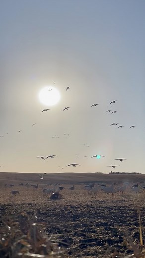 In the kitchen! 🇨🇦 | Hidden Prairie