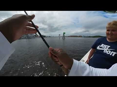 This Was a Big Catch on Live Bait