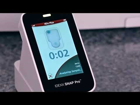 SNAP Pro Product Demonstration | Idexx