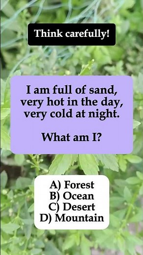 🏜️ Full of Sand, Hot Day, Cold Night – What Am I? #shorts #math #iqvistax #riddle