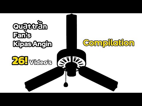 26 Fan's: Compilation of All Funny Fan Videos! (4K)