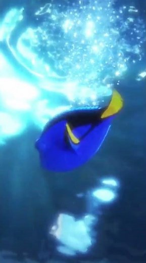 Dory Is Scared Hank Motivates Her | Dory Is In Open Ocean Exhibit - Finding Dory Scene 54