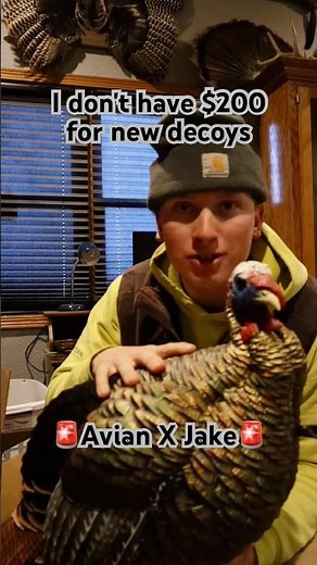 Top Level Budget Friendly Turkey Decoy! #turkeydecoys #ballingonabudget #budgetfriendly