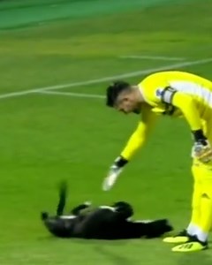 Animals invading sports events just adds to the entertainment 😂 | LADbible