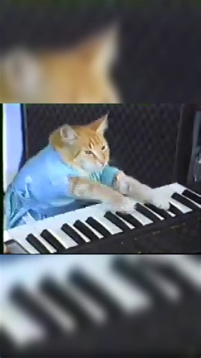 Keyboard Cat Meme