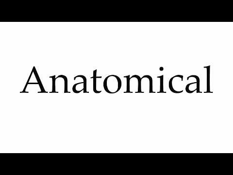 How to Pronounce Anatomical