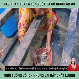 153K views · 1.3K reactions | Cách đánh cá lạ lùng của bà cô người Ấn Độ nhìn tưởng vô ích nhưng lại rất chất lượng | Design. | Facebook