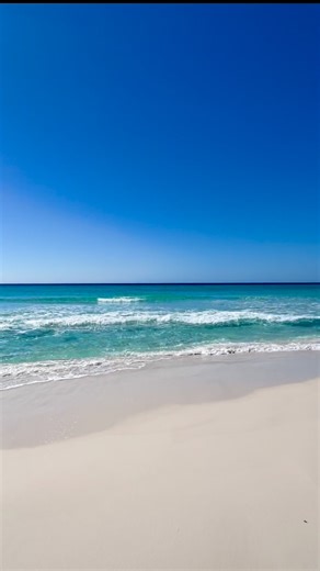 12K views · 949 reactions | When you catch a monarch butterfly in one of your videos 冀 | April Porter | Facebook